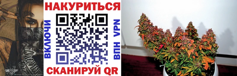 Купить где  Вихоревка  Бошки Шишки план 